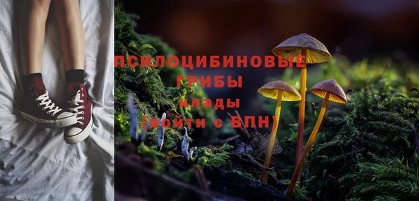 бошки Михайловск