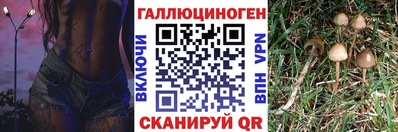Купить закладки Нижняя Салда Псилоцибиновые грибы Psilocybine cubensis